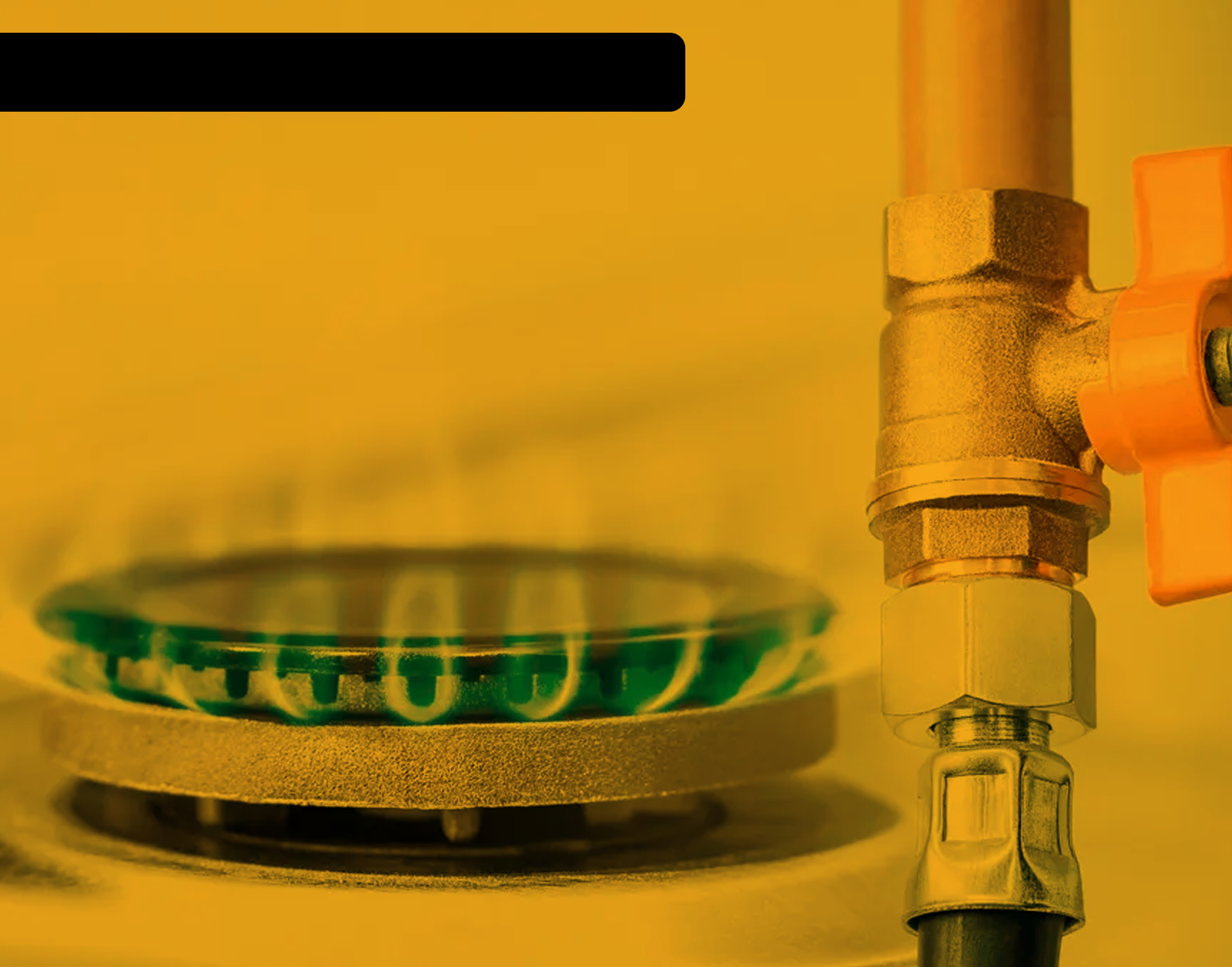 Chame agora no Whatsapp